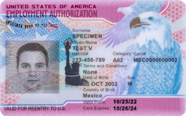 Front view of an Employment Authorization Card